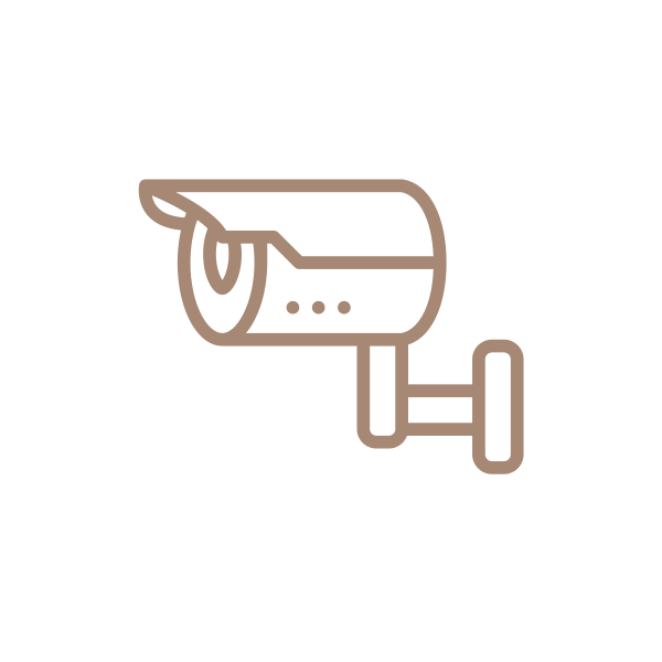 camera_icon_gold_small